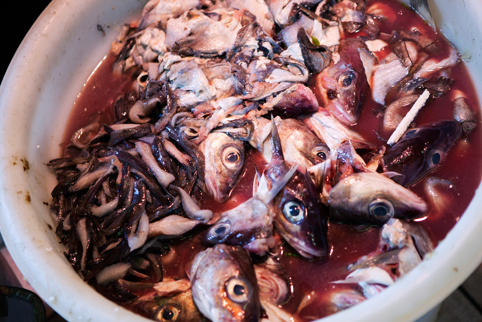 fishheads