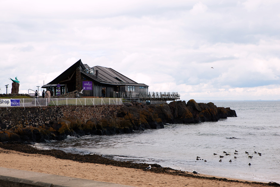 seabird shop